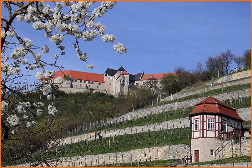 Neuenburg im Frühling