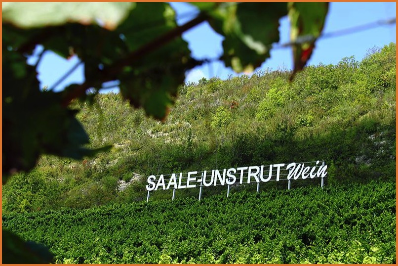 Saale-Unstrut-Wein